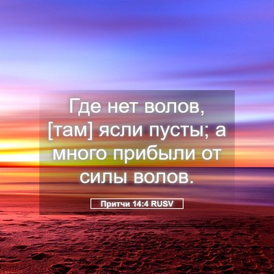 Picture 05 - Притчи 14:4 RUSV - Где нет волов, [там] ясли - Bible Verse Picture