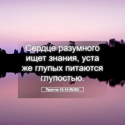 Picture 05 - Притчи 15:14 RUSV - Сердце разумного ищет - Bible Verse Picture