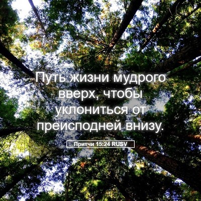 Picture 05 - Притчи 15:24 RUSV - Путь жизни мудрого вверх, - Bible Verse Picture