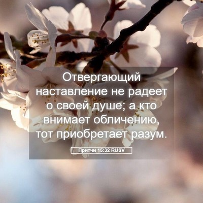Picture 05 - Притчи 15:32 RUSV - Отвергающий наставление - Bible Verse Picture
