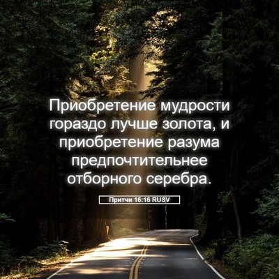 Picture 05 - Притчи 16:16 RUSV - Приобретение мудрости - Bible Verse Picture