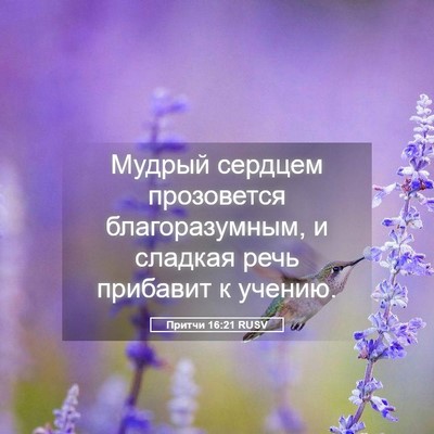 Picture 05 - Притчи 16:21 RUSV - Мудрый сердцем прозовется - Bible Verse Picture