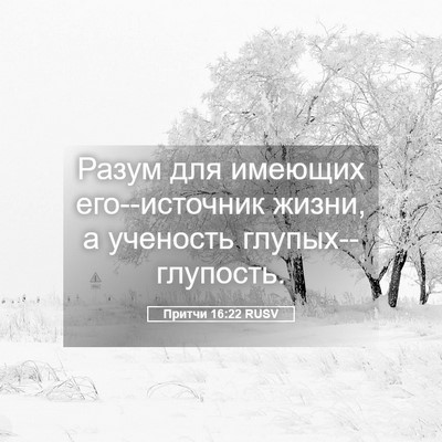 Picture 05 - Притчи 16:22 RUSV - Разум для имеющих - Bible Verse Picture