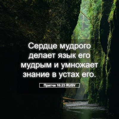 Picture 05 - Притчи 16:23 RUSV - Сердце мудрого делает язык - Bible Verse Picture