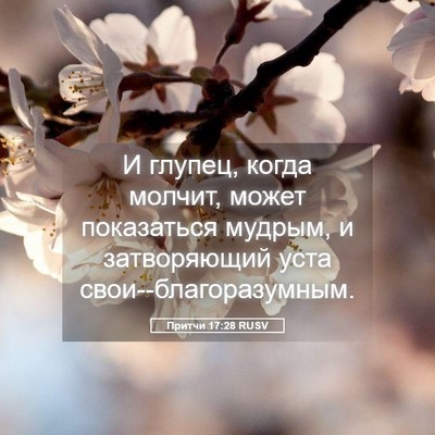 Picture 05 - Притчи 17:28 RUSV - И глупец, когда молчит, - Bible Verse Picture