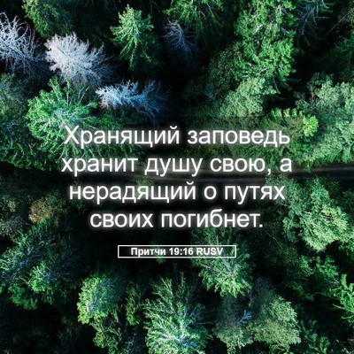 Picture 05 - Притчи 19:16 RUSV - Хранящий заповедь хранит - Bible Verse Picture