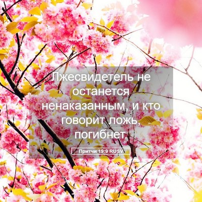 Picture 05 - Притчи 19:9 RUSV - Лжесвидетель не останется - Bible Verse Picture