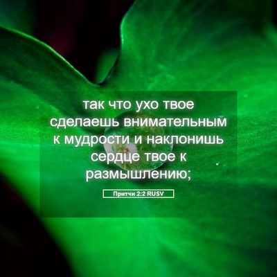 Picture 05 - Притчи 2:2 RUSV - так что ухо твое сделаешь - Bible Verse Picture