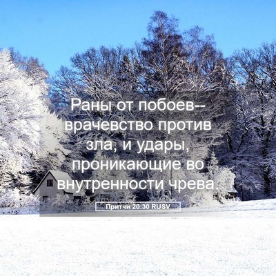 Picture 05 - Притчи 20:30 RUSV - Раны от побоев--врачевство - Bible Verse Picture