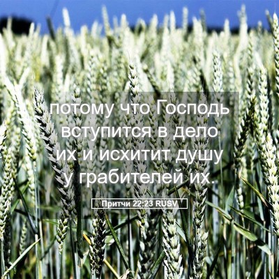 Picture 05 - Притчи 22:23 RUSV - потому что Господь - Bible Verse Picture