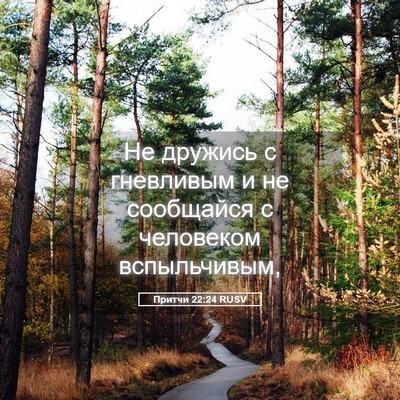 Picture 05 - Притчи 22:24 RUSV - Не дружись с гневливым и не - Bible Verse Picture