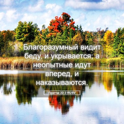 Picture 05 - Притчи 22:3 RUSV - Благоразумный видит беду, - Bible Verse Picture
