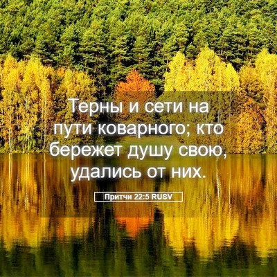Picture 05 - Притчи 22:5 RUSV - Терны и сети на пути - Bible Verse Picture