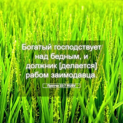 Picture 05 - Притчи 22:7 RUSV - Богатый господствует над - Bible Verse Picture