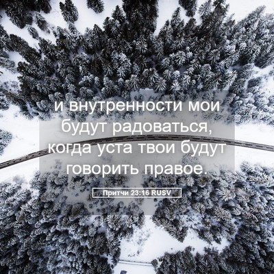 Picture 05 - Притчи 23:16 RUSV - и внутренности мои будут - Bible Verse Picture