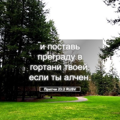 Picture 05 - Притчи 23:2 RUSV - и поставь преграду в - Bible Verse Picture