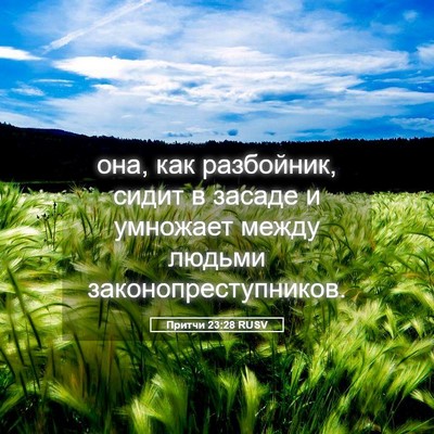 Picture 05 - Притчи 23:28 RUSV - она, как разбойник, сидит в - Bible Verse Picture