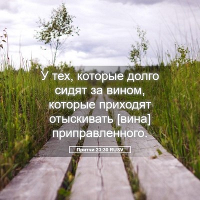 Picture 05 - Притчи 23:30 RUSV - У тех, которые долго сидят - Bible Verse Picture
