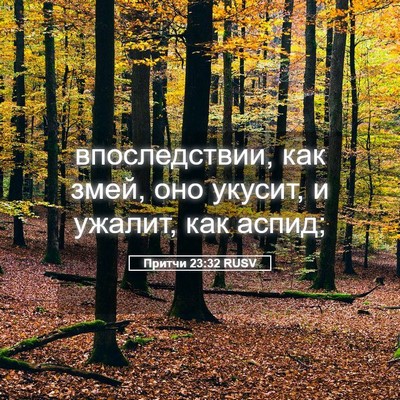 Picture 05 - Притчи 23:32 RUSV - впоследствии, как змей, оно - Bible Verse Picture