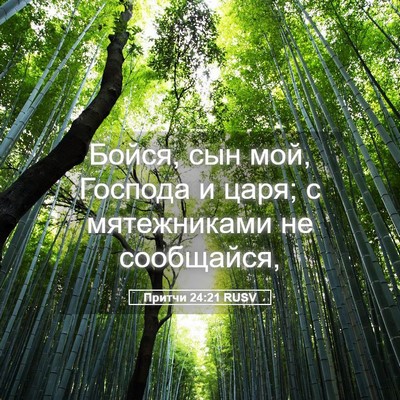 Picture 05 - Притчи 24:21 RUSV - Бойся, сын мой, Господа и - Bible Verse Picture