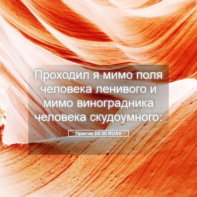 Picture 05 - Притчи 24:30 RUSV - Проходил я мимо поля - Bible Verse Picture