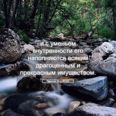 Picture 05 - Притчи 24:4 RUSV - и с уменьем внутренности - Bible Verse Picture