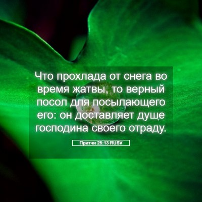 Picture 05 - Притчи 25:13 RUSV - Что прохлада от снега во - Bible Verse Picture