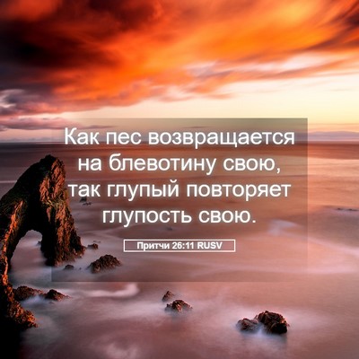 Picture 05 - Притчи 26:11 RUSV - Как пес возвращается на - Bible Verse Picture