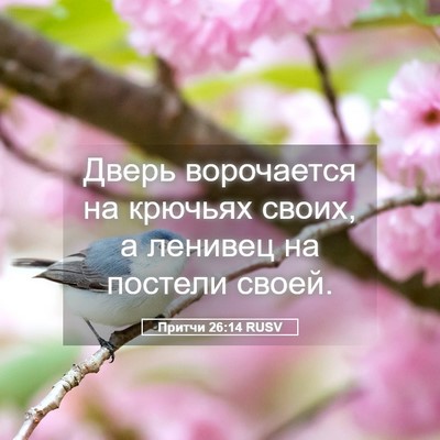 Picture 05 - Притчи 26:14 RUSV - Дверь ворочается на - Bible Verse Picture