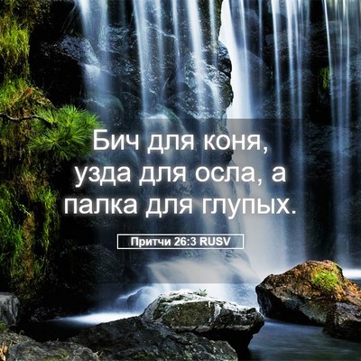 Picture 05 - Притчи 26:3 RUSV - Бич для коня, узда для осла, - Bible Verse Picture