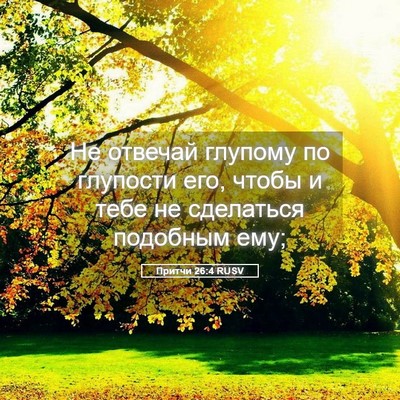 Picture 05 - Притчи 26:4 RUSV - Не отвечай глупому по - Bible Verse Picture