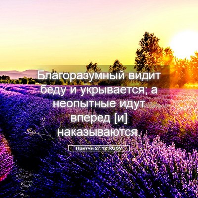Picture 05 - Притчи 27:12 RUSV - Благоразумный видит беду и - Bible Verse Picture