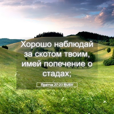 Picture 05 - Притчи 27:23 RUSV - Хорошо наблюдай за скотом - Bible Verse Picture
