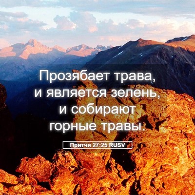 Picture 05 - Притчи 27:25 RUSV - Прозябает трава, и - Bible Verse Picture