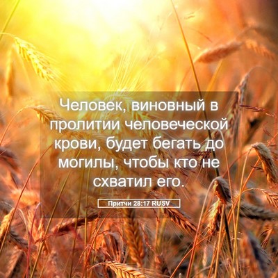 Picture 05 - Притчи 28:17 RUSV - Человек, виновный в - Bible Verse Picture