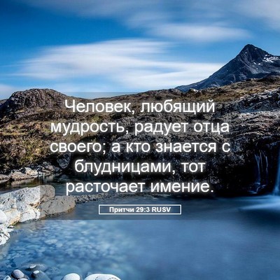 Picture 05 - Притчи 29:3 RUSV - Человек, любящий мудрость, - Bible Verse Picture