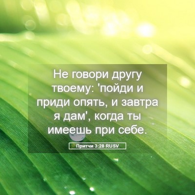 Picture 05 - Притчи 3:28 RUSV - Не говори другу твоему: - Bible Verse Picture