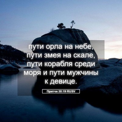 Picture 05 - Притчи 30:19 RUSV - пути орла на небе, пути - Bible Verse Picture