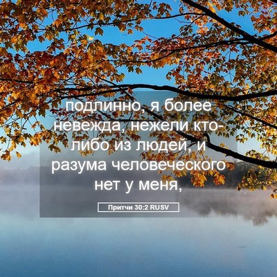 Picture 05 - Притчи 30:2 RUSV - подлинно, я более невежда, - Bible Verse Picture
