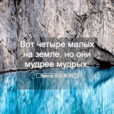 Picture 05 - Притчи 30:24 RUSV - Вот четыре малых на земле, - Bible Verse Picture