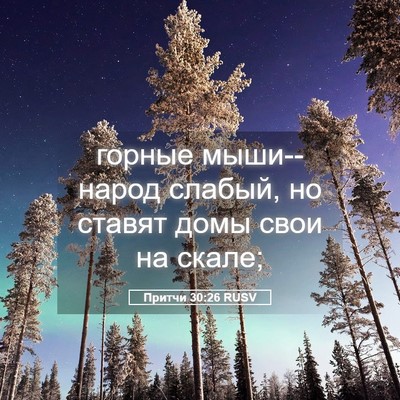Picture 05 - Притчи 30:26 RUSV - горные мыши--народ слабый, - Bible Verse Picture