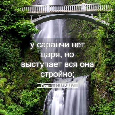Picture 05 - Притчи 30:27 RUSV - у саранчи нет царя, но - Bible Verse Picture