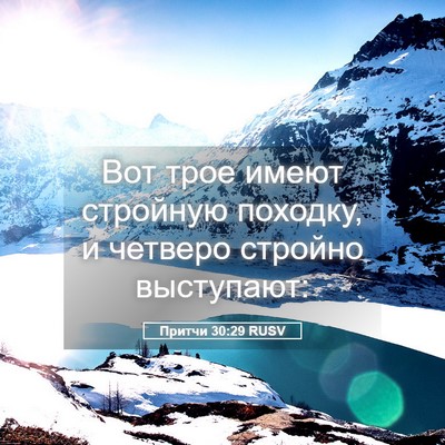 Picture 05 - Притчи 30:29 RUSV - Вот трое имеют стройную - Bible Verse Picture