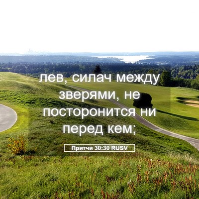Picture 05 - Притчи 30:30 RUSV - лев, силач между зверями, - Bible Verse Picture