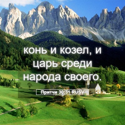 Picture 05 - Притчи 30:31 RUSV - конь и козел, и царь среди - Bible Verse Picture