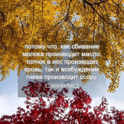 Picture 05 - Притчи 30:33 RUSV - потому что, как сбивание - Bible Verse Picture