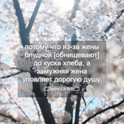 Picture 05 - Притчи 6:26 RUSV - потому что из-за жены - Bible Verse Picture