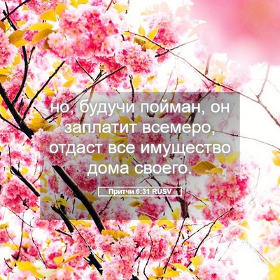 Picture 05 - Притчи 6:31 RUSV - но, будучи пойман, он - Bible Verse Picture