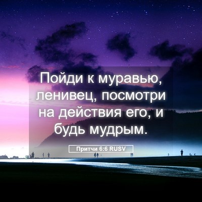 Picture 05 - Притчи 6:6 RUSV - Пойди к муравью, ленивец, - Bible Verse Picture