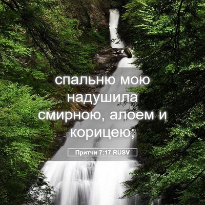 Picture 05 - Притчи 7:17 RUSV - спальню мою надушила - Bible Verse Picture